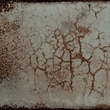 Curio Groen mix A STR 237 x 78 Tegel Curio Groen mix A STR 237 x 78 Tegel