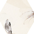 Mild Garden Hex 221 x 192 decortegel Mild Garden Hex 221 x 192 decortegel
