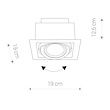 DOWNLIGHT Wit I DOWNLIGHT Wit I