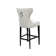 Barstoel Ashley Heavy White w/ring Barstoel Ashley Heavy White w/ring