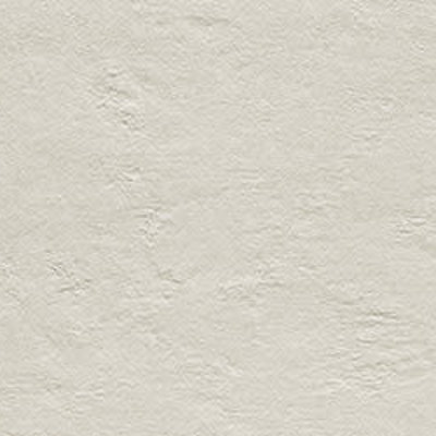 Industrio Licht Grijs 1198 x 598 Tegel