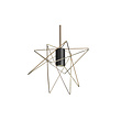 Cameleon Gstar Gold/Black Cameleon Gstar Gold/Black