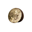 Cameleon Wheel Gold Cameleon Wheel Gold