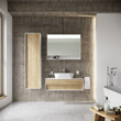 Mirror Cabinet Mirror Cabinet