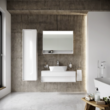 Mirror Cabinet Mirror Cabinet