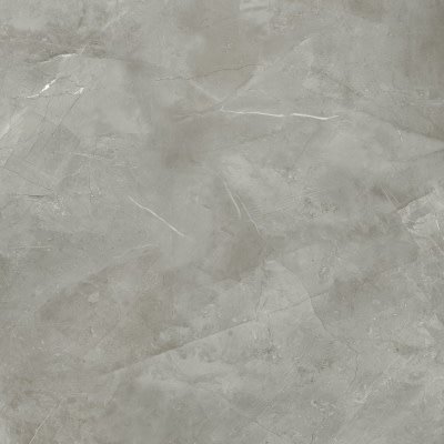 Harmonic Grey POL 798 x 798 Tegel