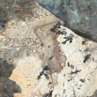 Vloer- en wandtegel Impress 120 x 60 cm