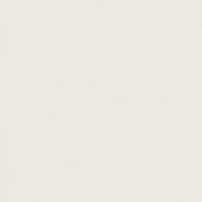 Vloer- en wandtegel  My Tones wit mat 60x60cm