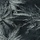 Wanddecortegel 2-delig Sedona Palms 66x90cm