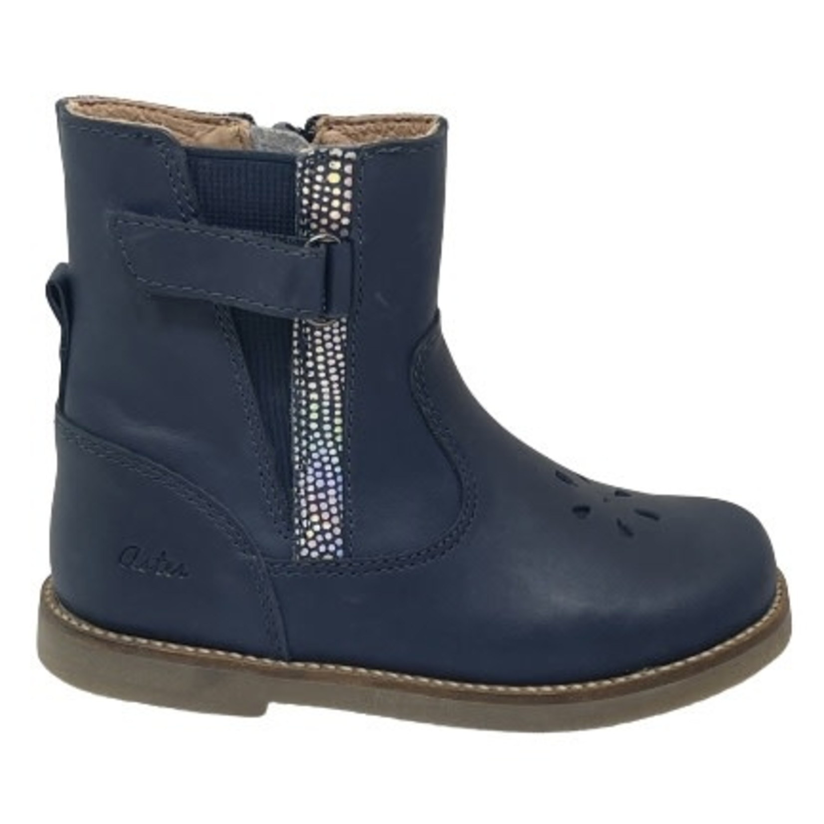 Aster Aster Saveta Blauw