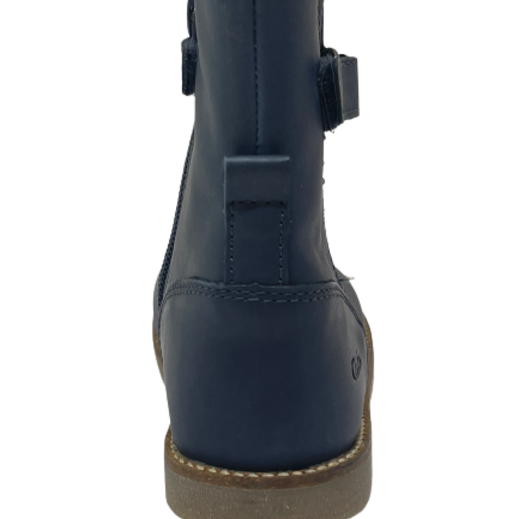 Aster Aster Saveta Blauw