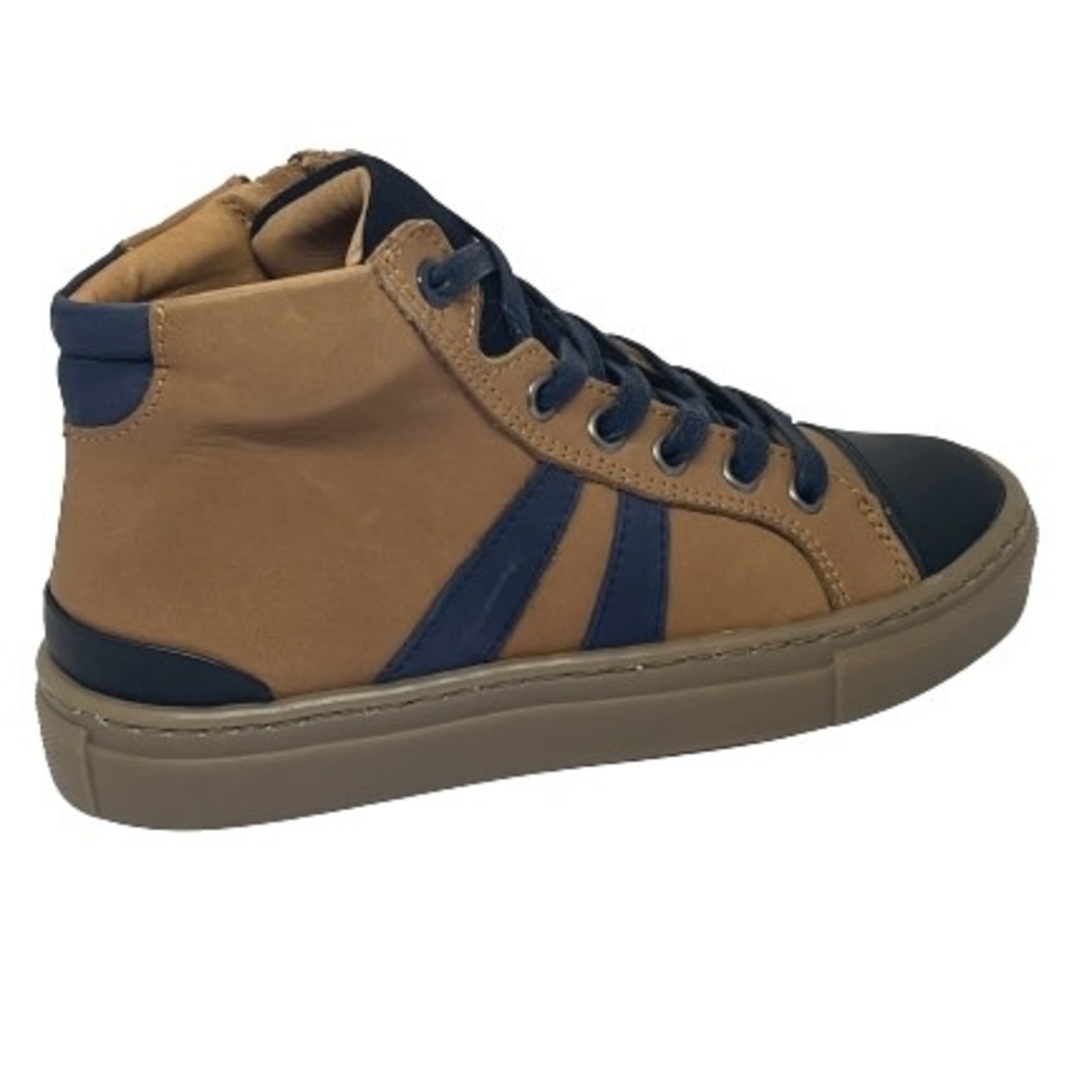 Bellamy Bellamy Basile Camel