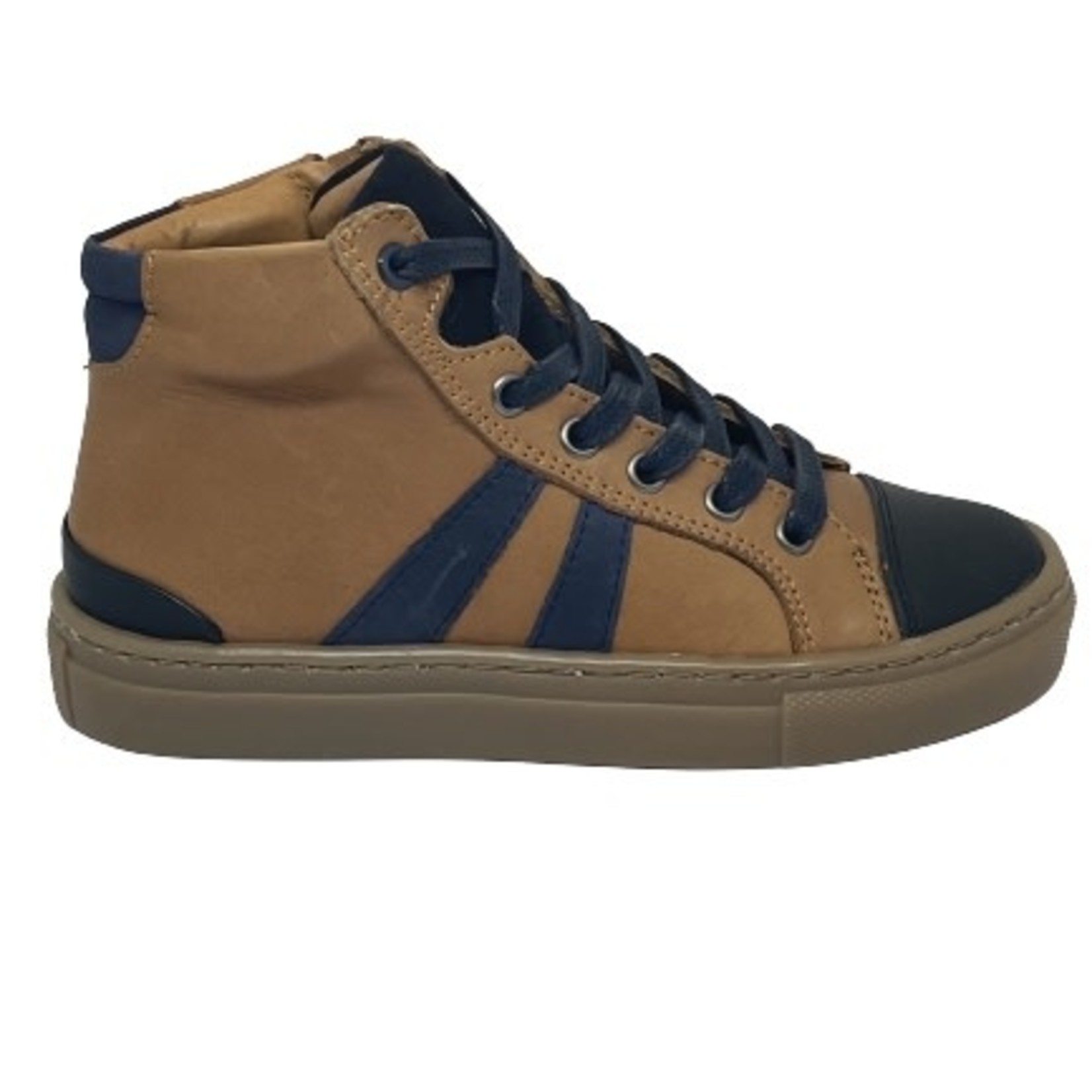 Bellamy Bellamy Basile Camel