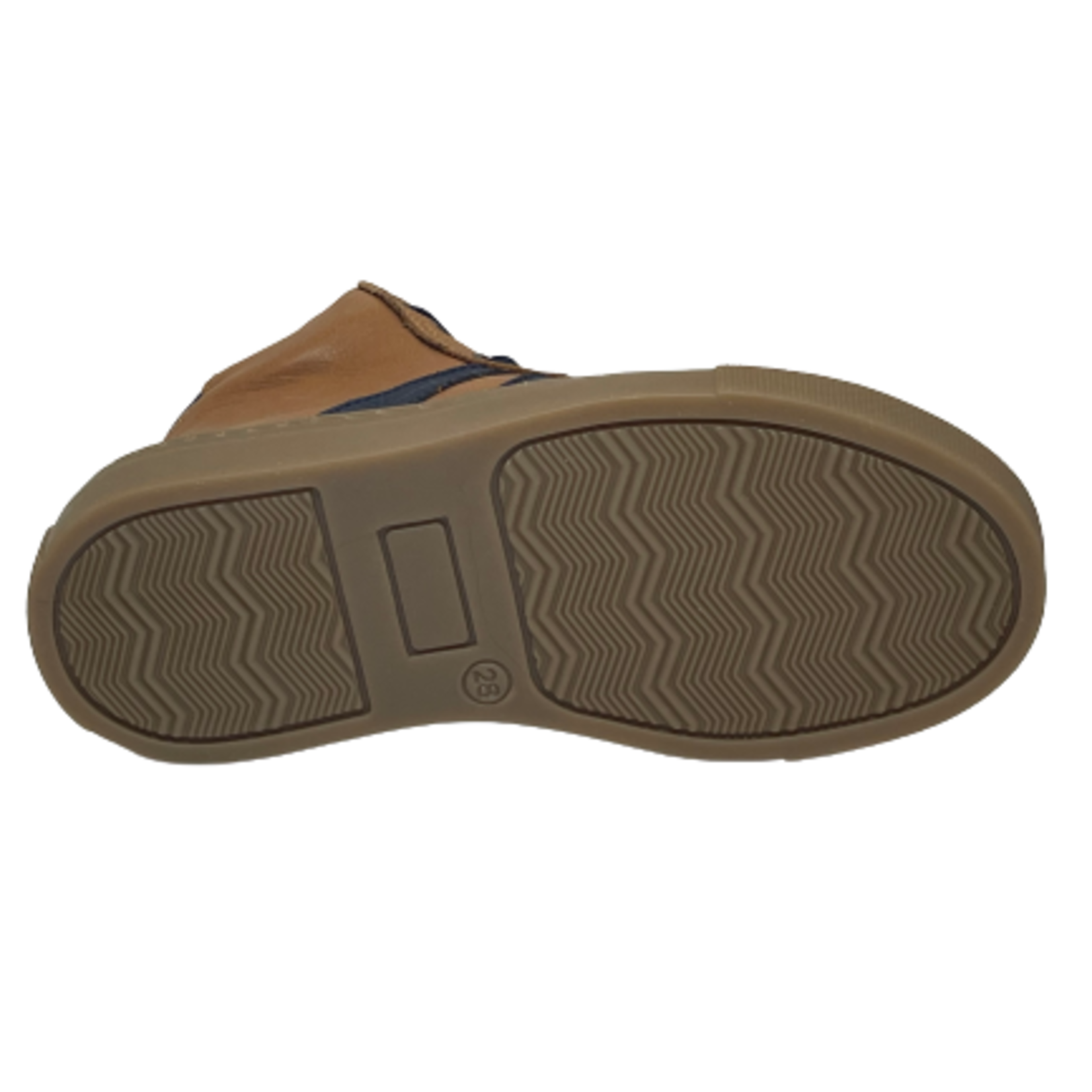 Bellamy Bellamy Basile Camel