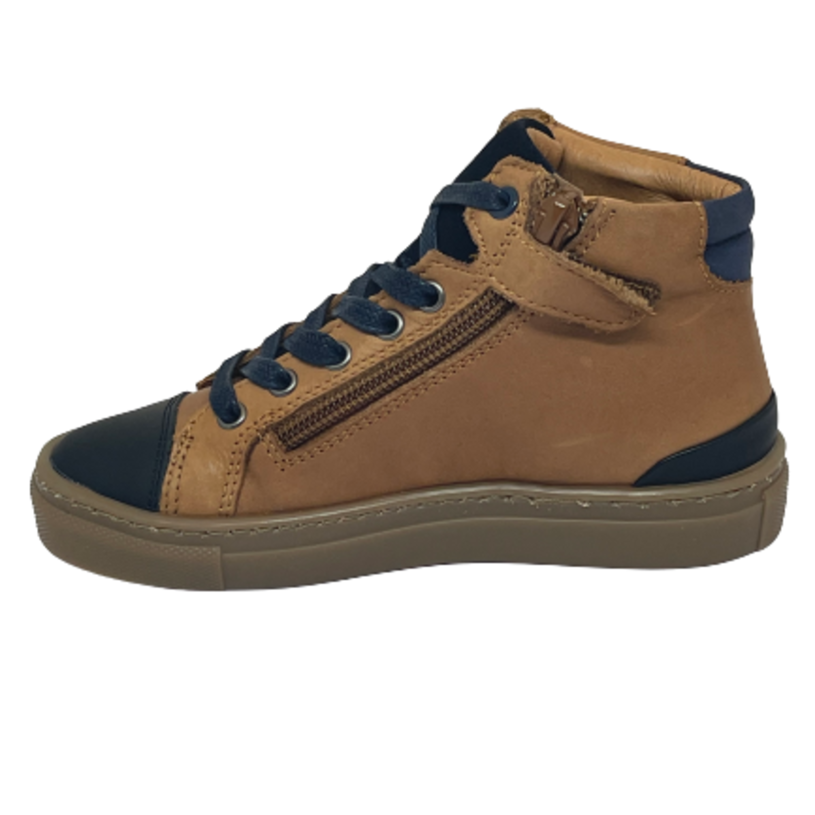 Bellamy Bellamy Basile Camel