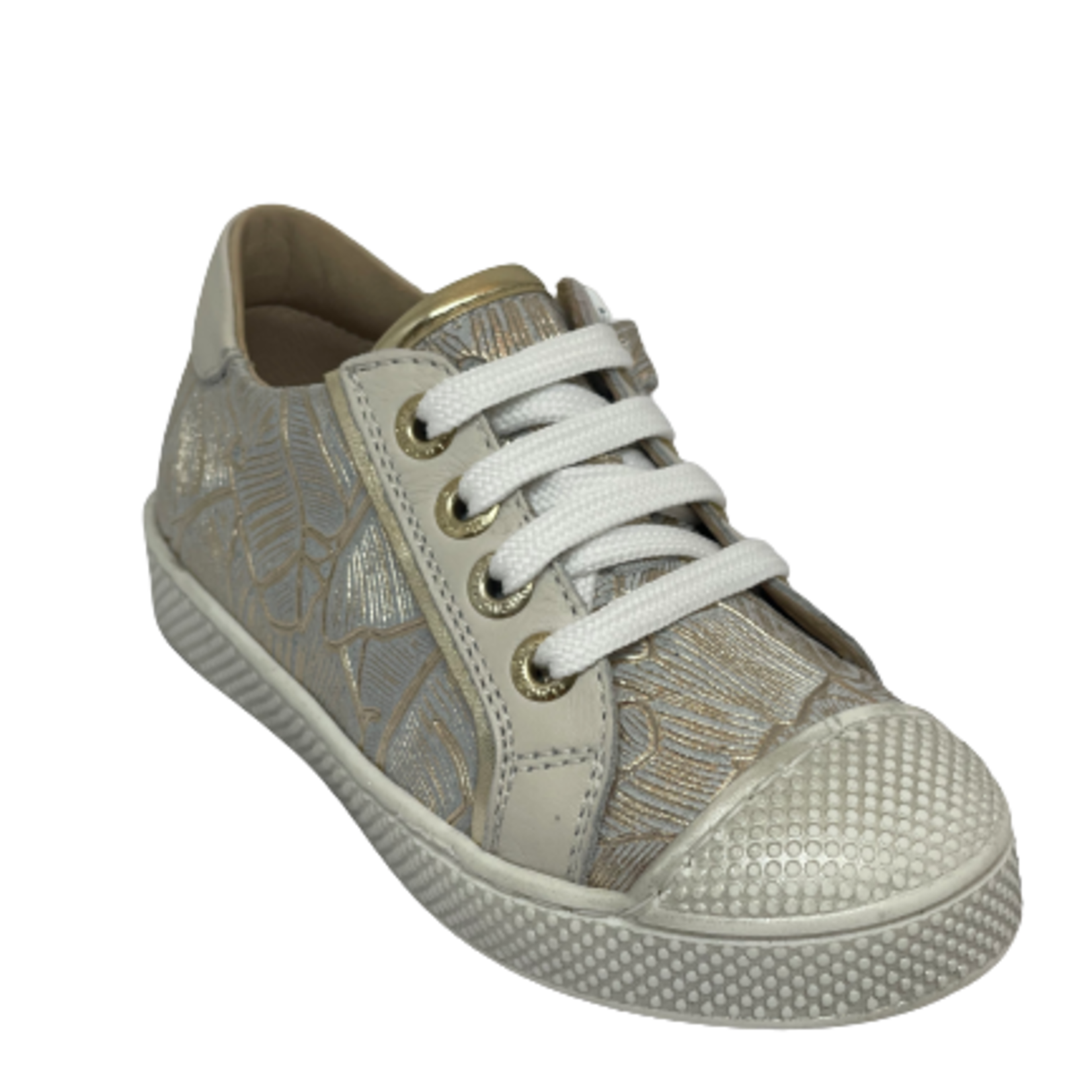 Lunella Lunella Plant Goud