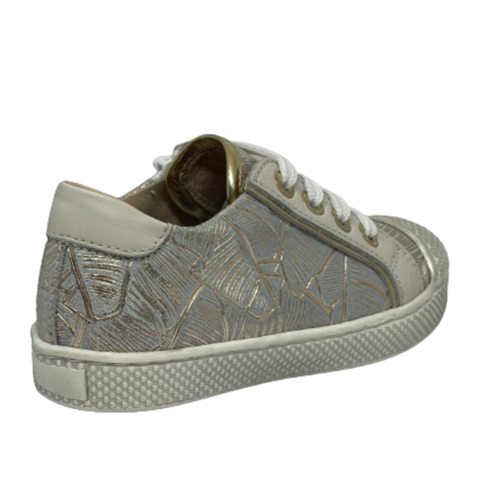 Lunella Lunella Plant Goud