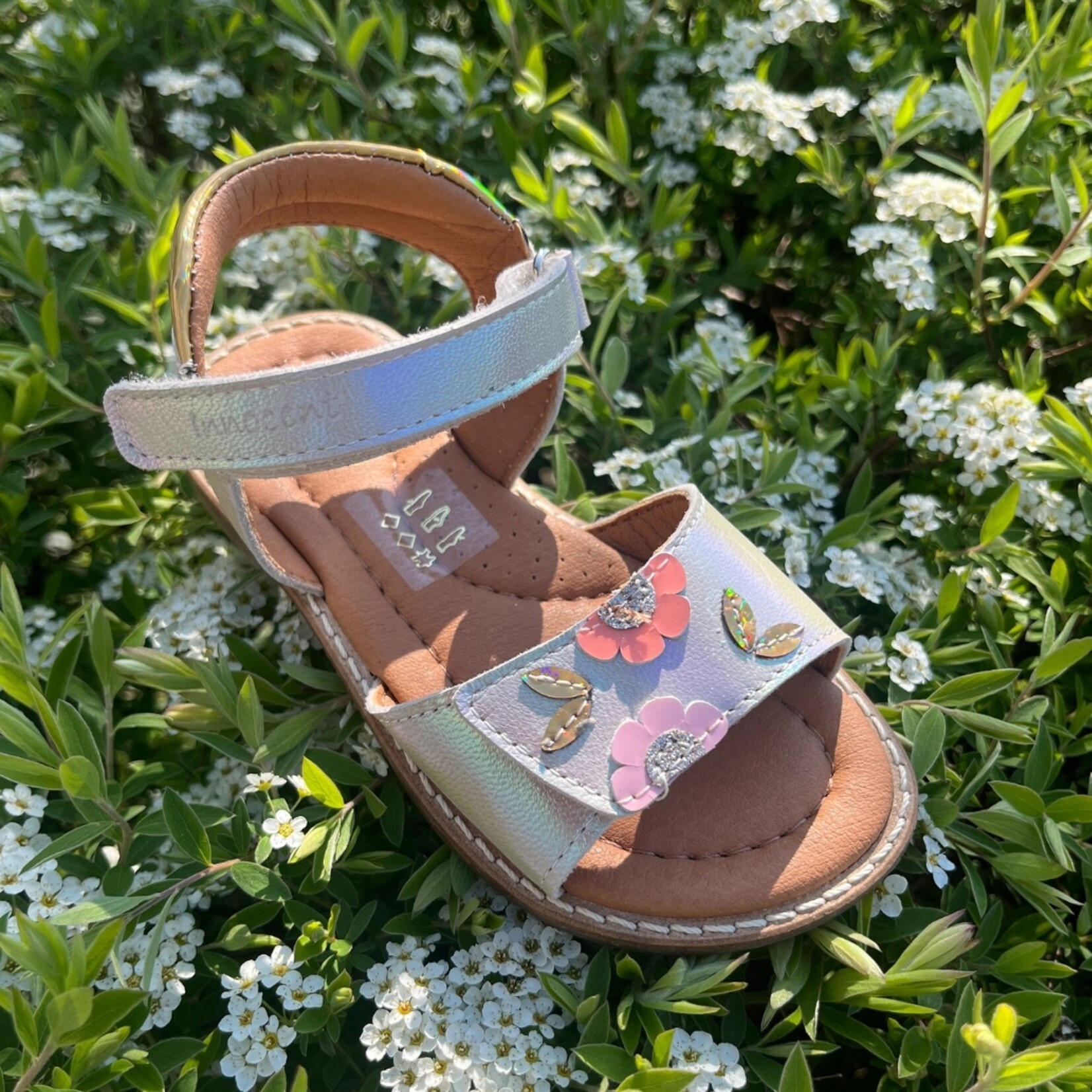 Innocent Innocent Jaslyne champagne