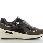 SJ SJ Sneaker taupe/bruin