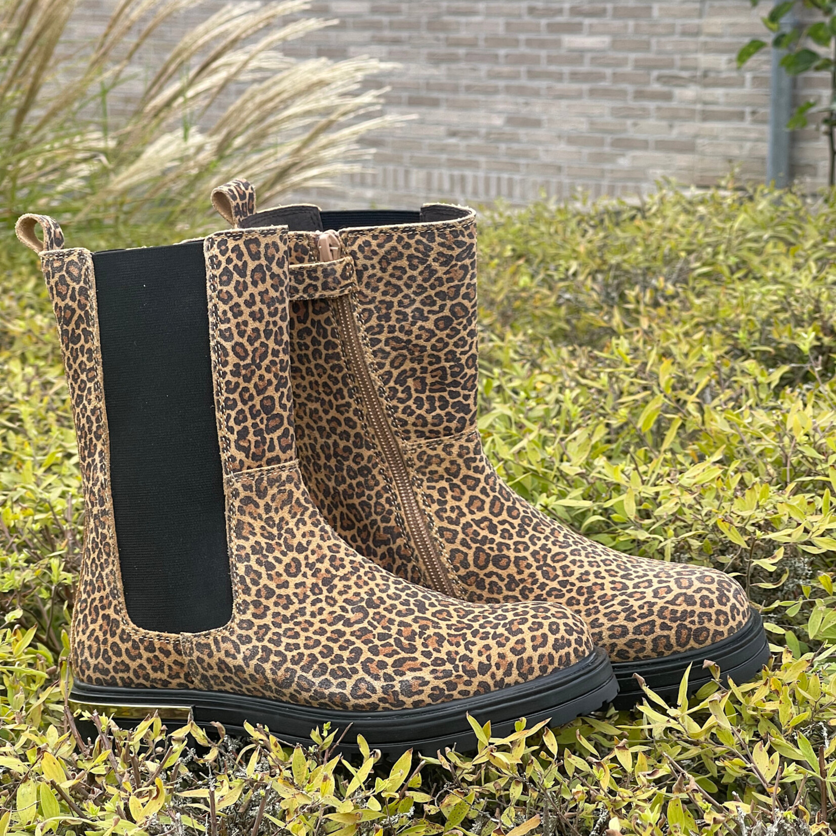 Jopper Laars leo groot 38