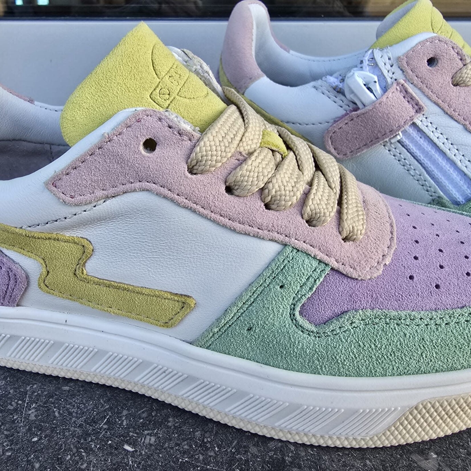 Gattino sneaker pastel