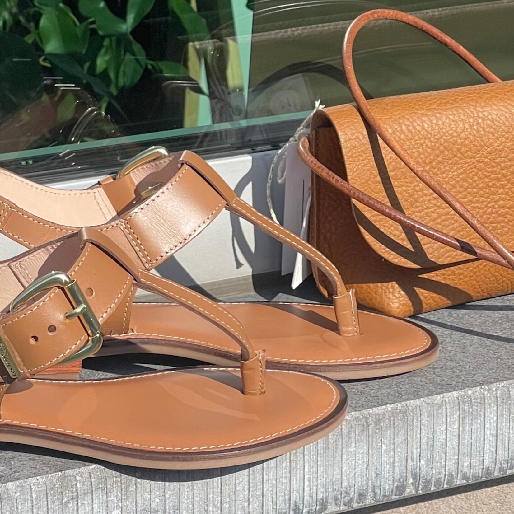 Les Tropeziennes Les Tropeziennes Hamorino cognac