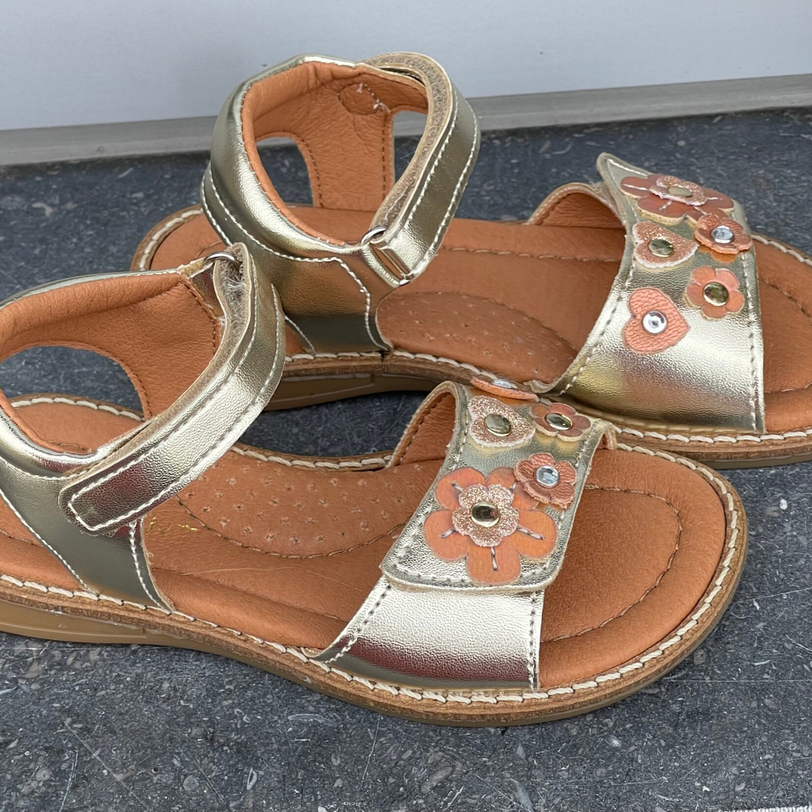 Innocent Innocent Sissi champ.