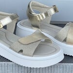 Innocent Innocent Saphira gold