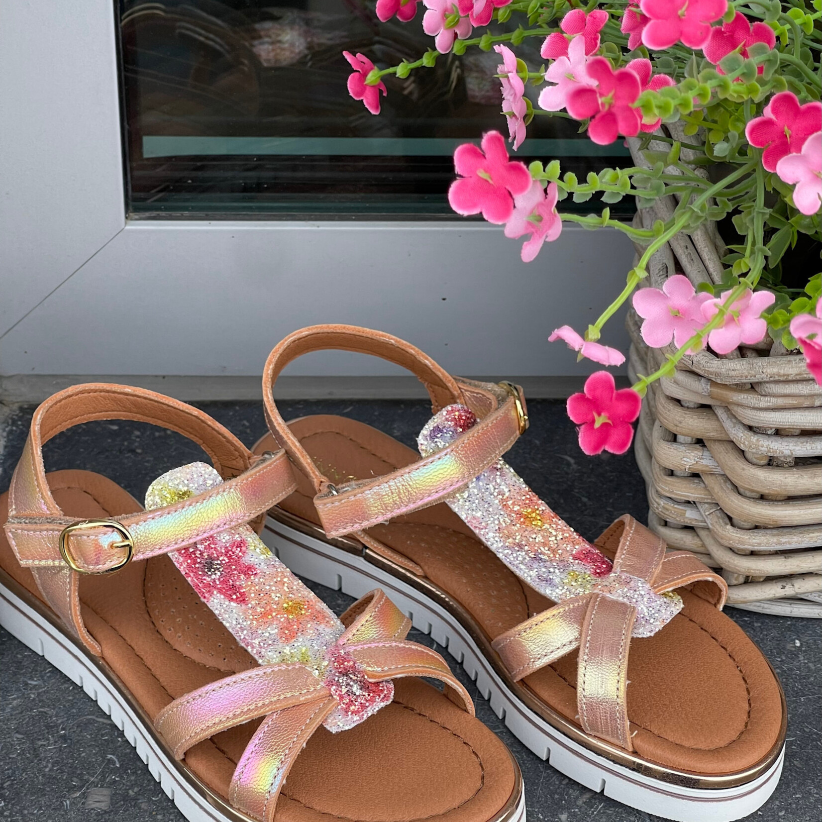 Innocent Innocent Sunday champ.