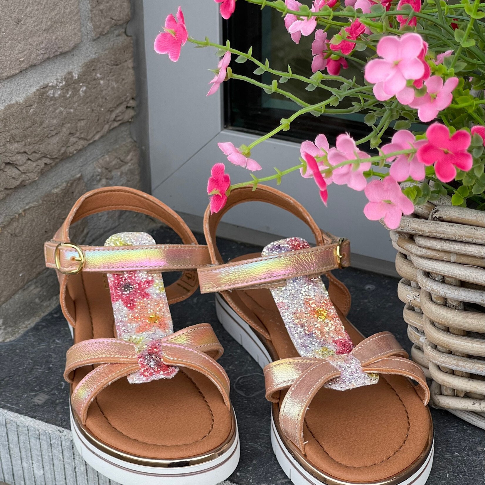 Innocent Innocent Sunday champ.