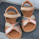 Innocent Innocent Steffi champ.