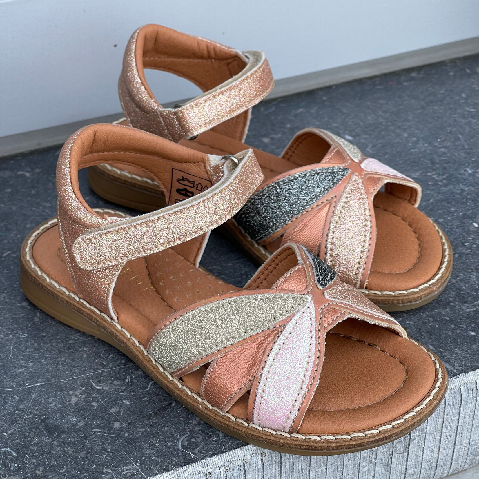 Innocent Innocent Steffi champ.