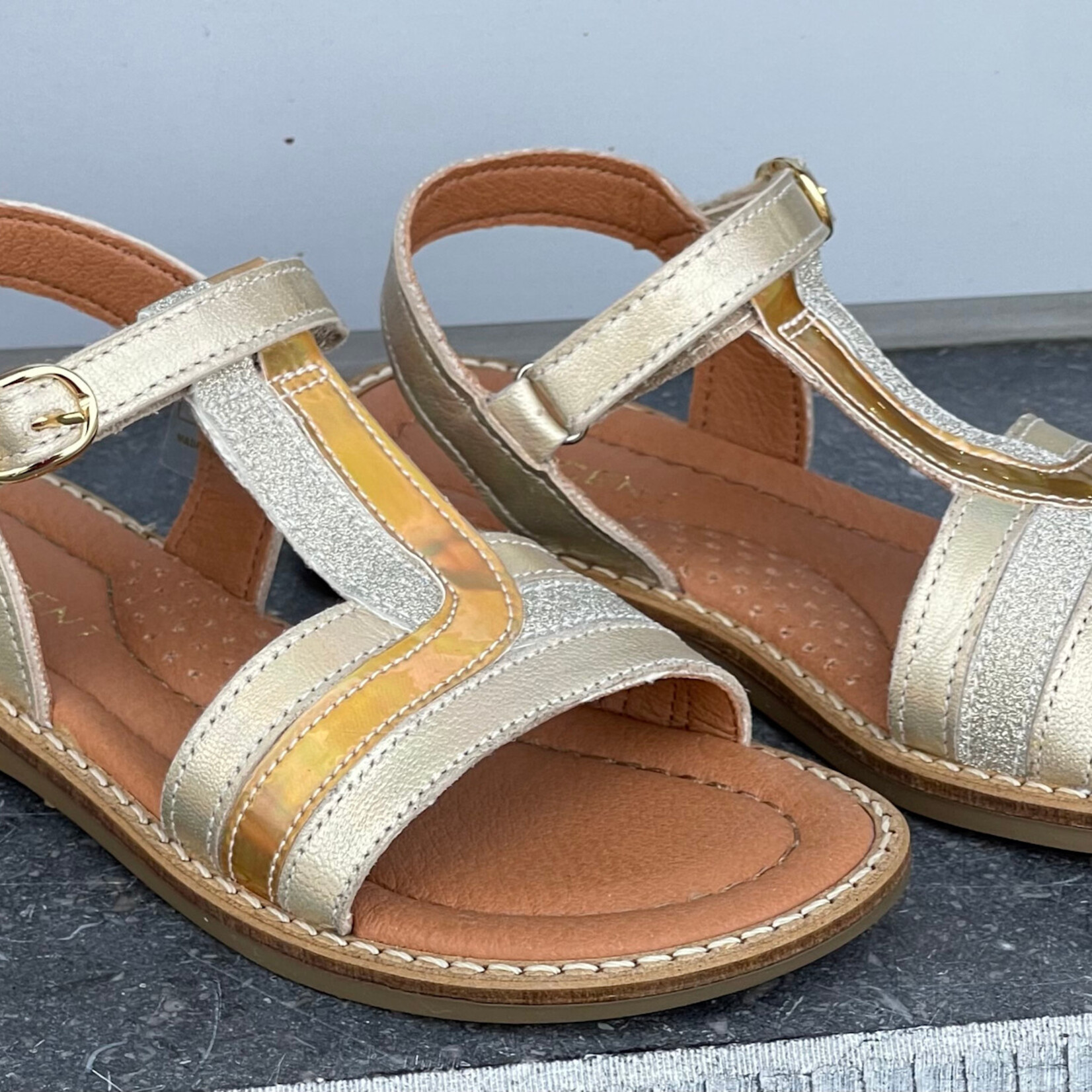 Innocent Innocent Salona gold