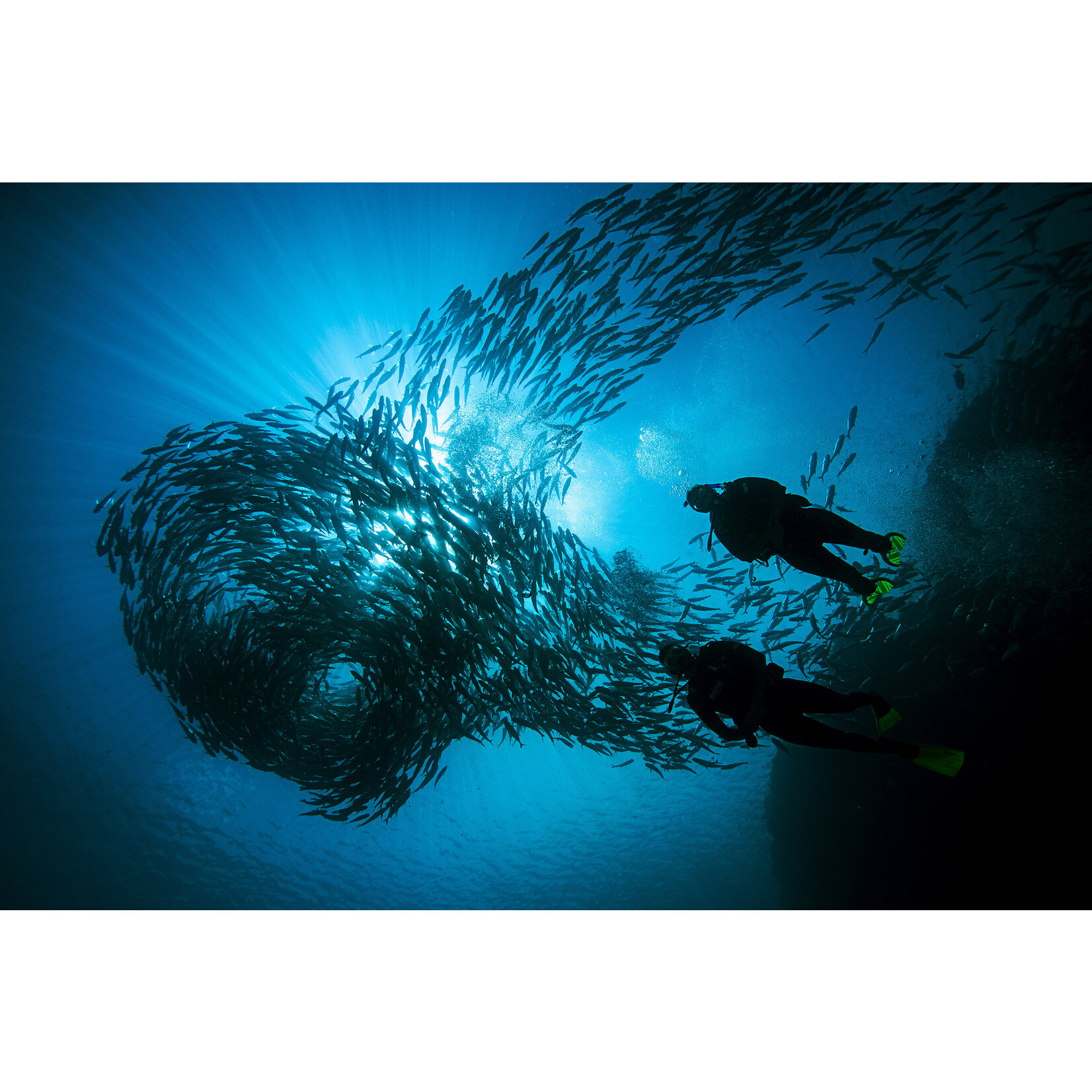 MaiDiving PADI Deep Diver