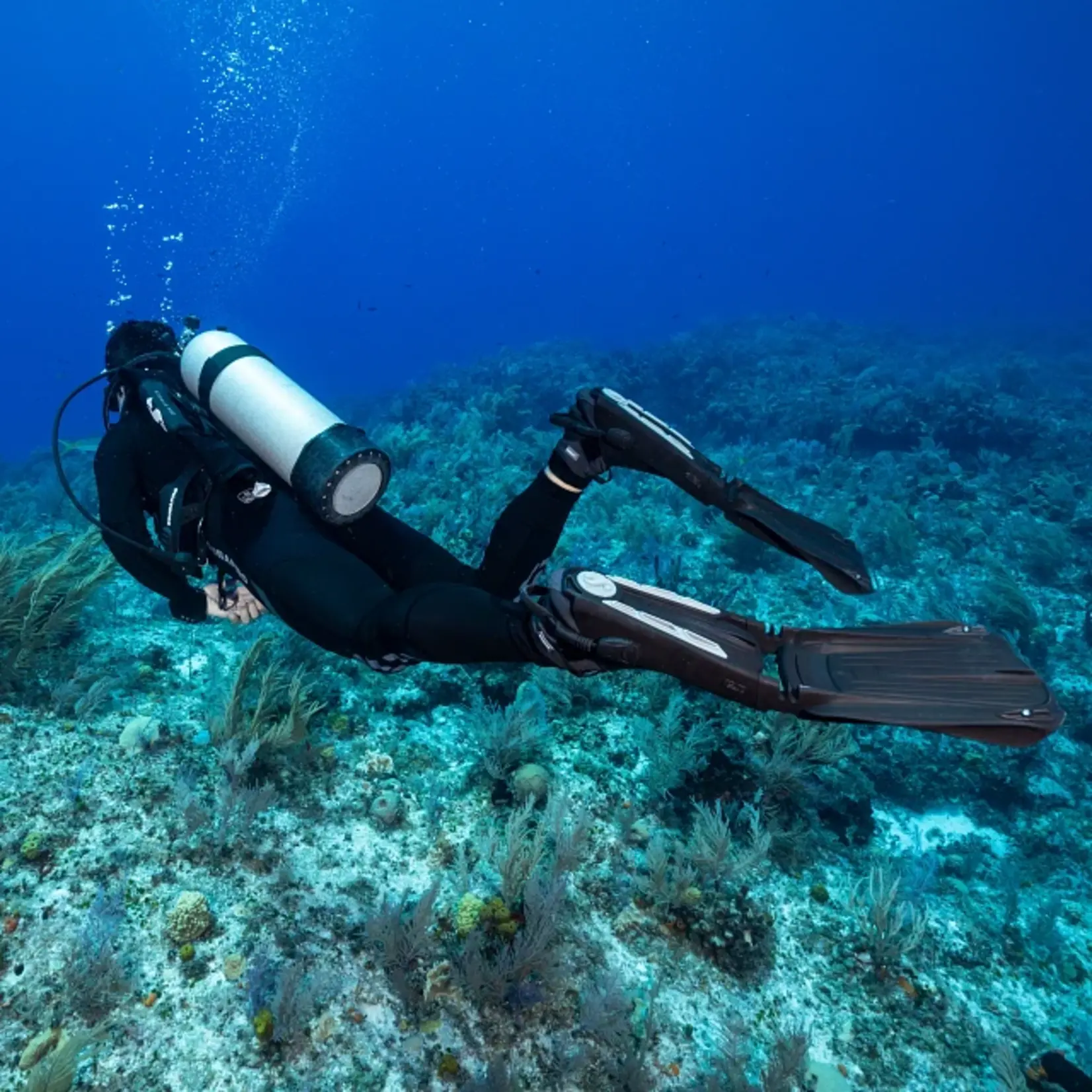 Scubapro Seawing Supernova OH