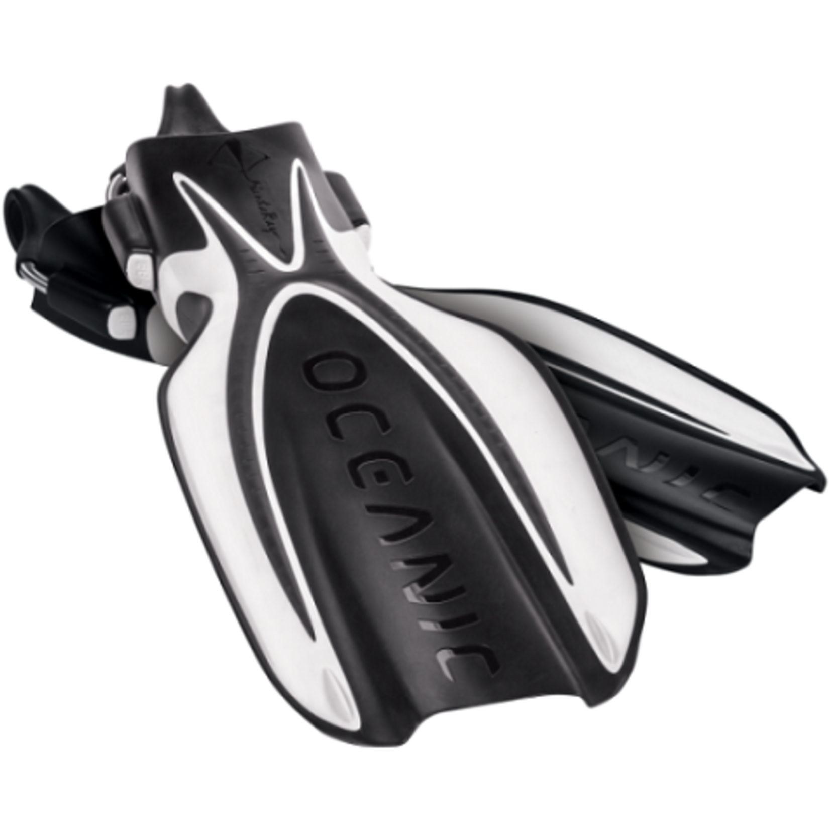 Oceanic Manta Ray Fins