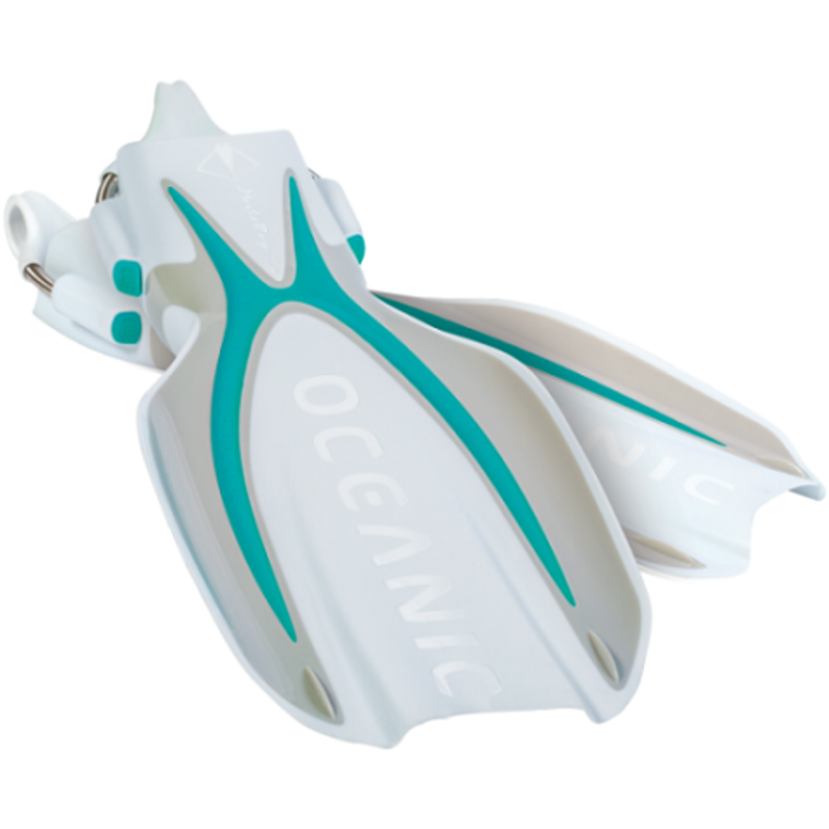 Oceanic Manta Ray Fins