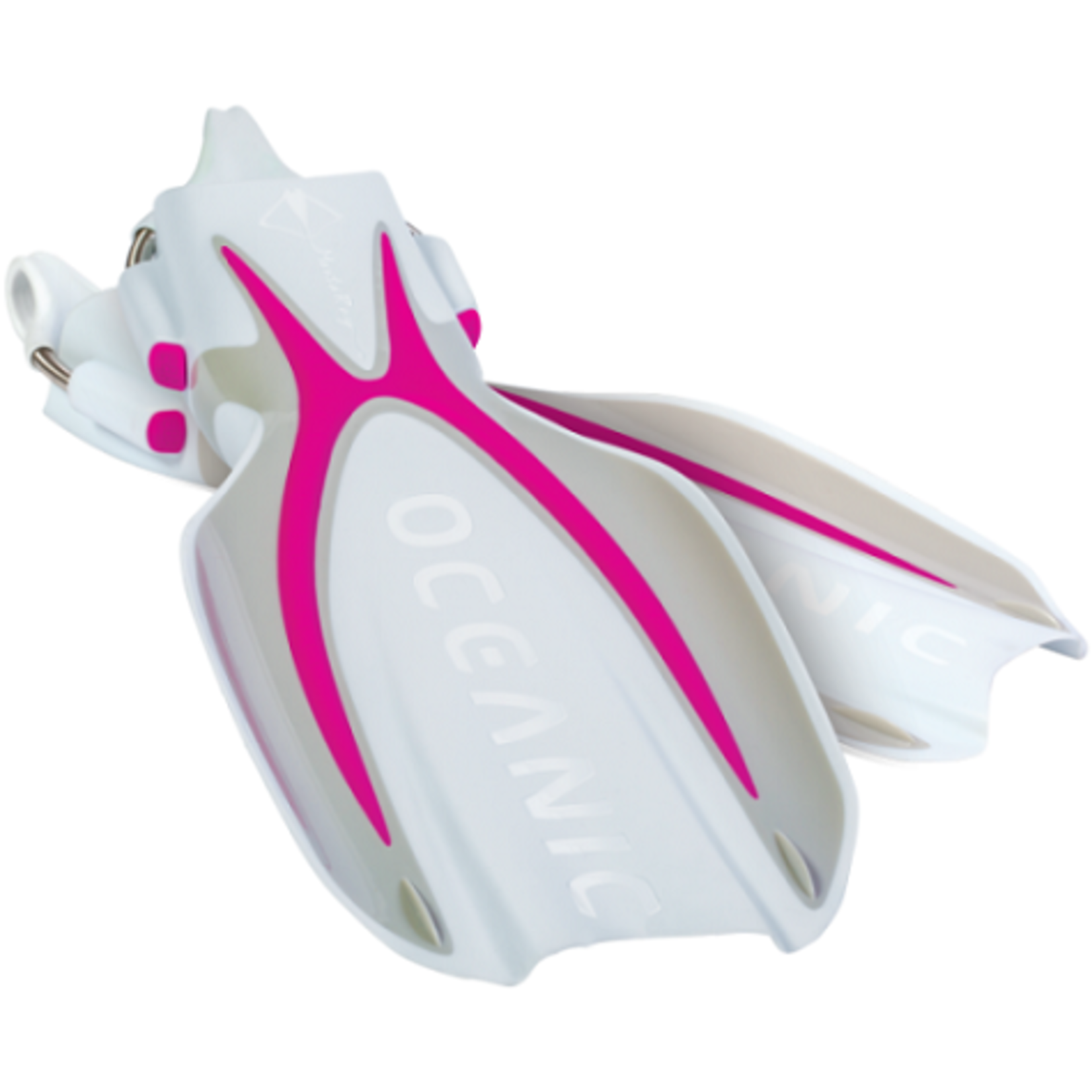 Oceanic Manta Ray Fins