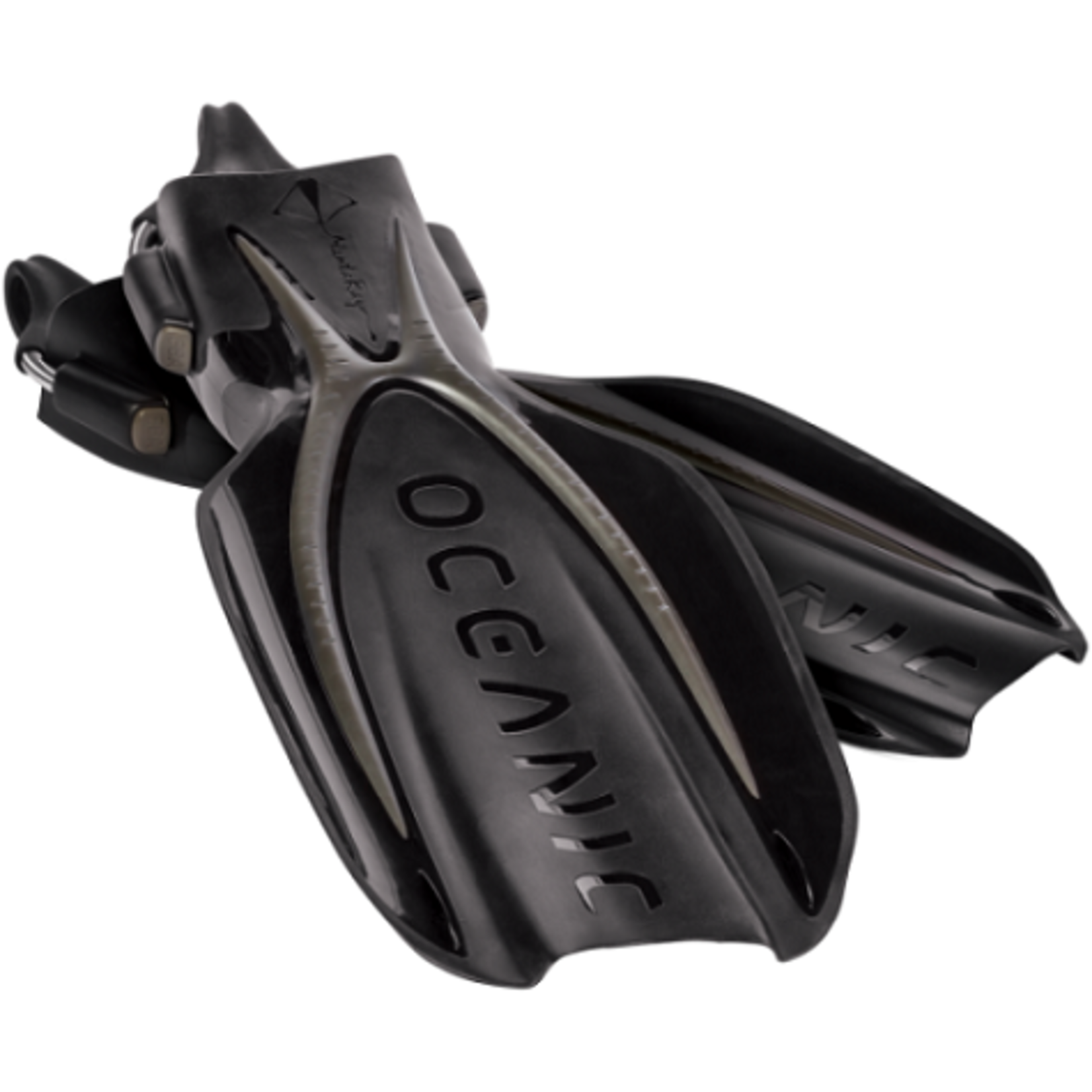 Oceanic Manta Ray Fins