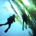 MaiDiving PADI Junior Advanced Open Water