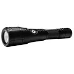 Oceama Torch Ray