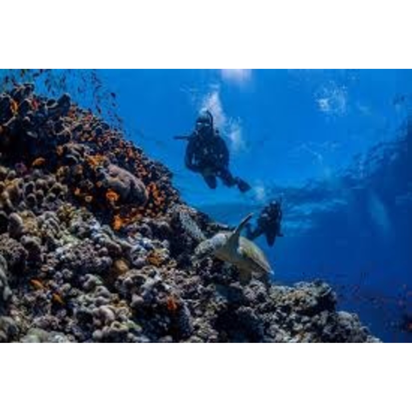 MaiDiving PADI Discover Scuba Diving Buitenwater