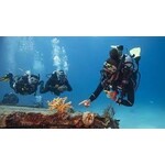 MaiDiving Divemaster Cursus