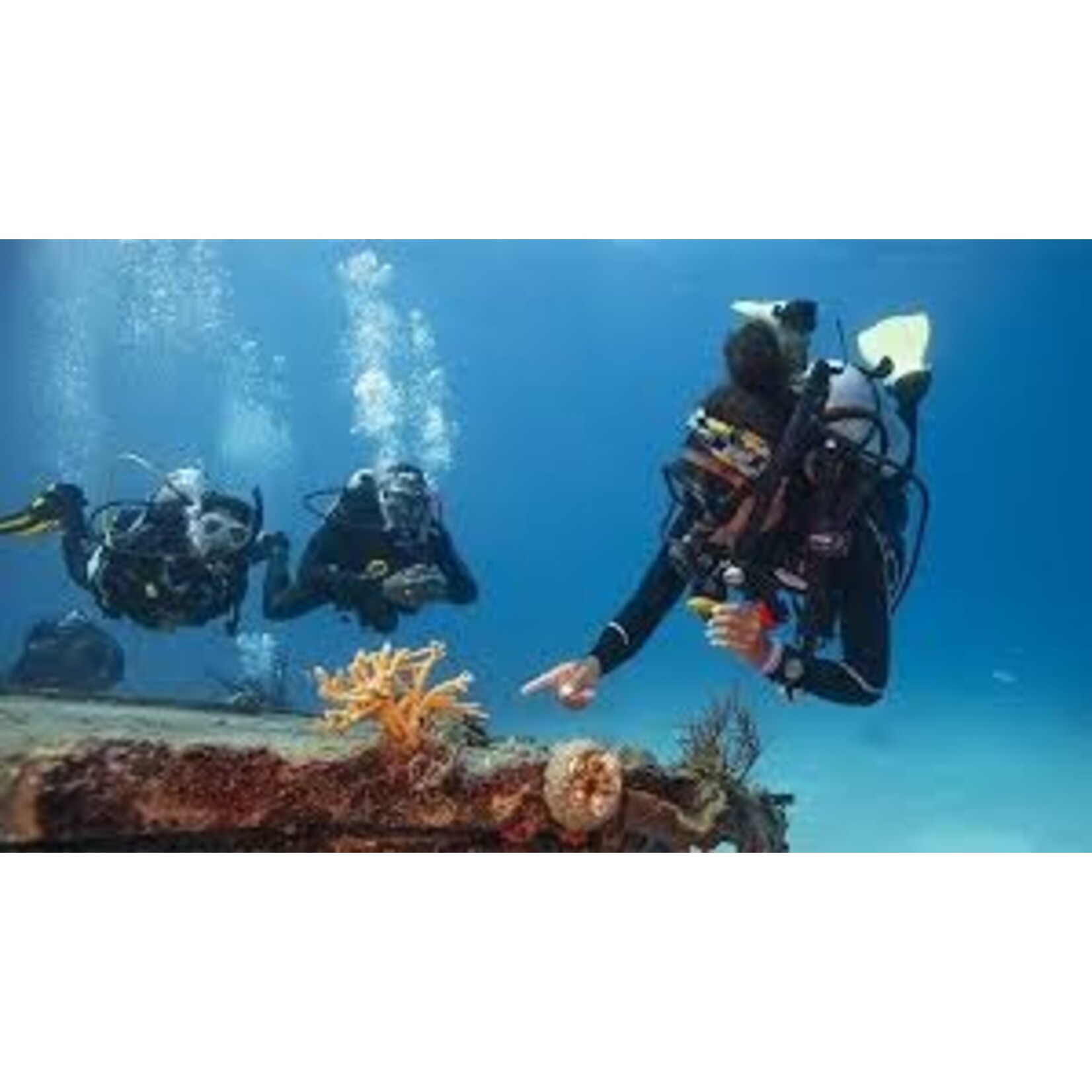 MaiDiving Divemaster Cursus