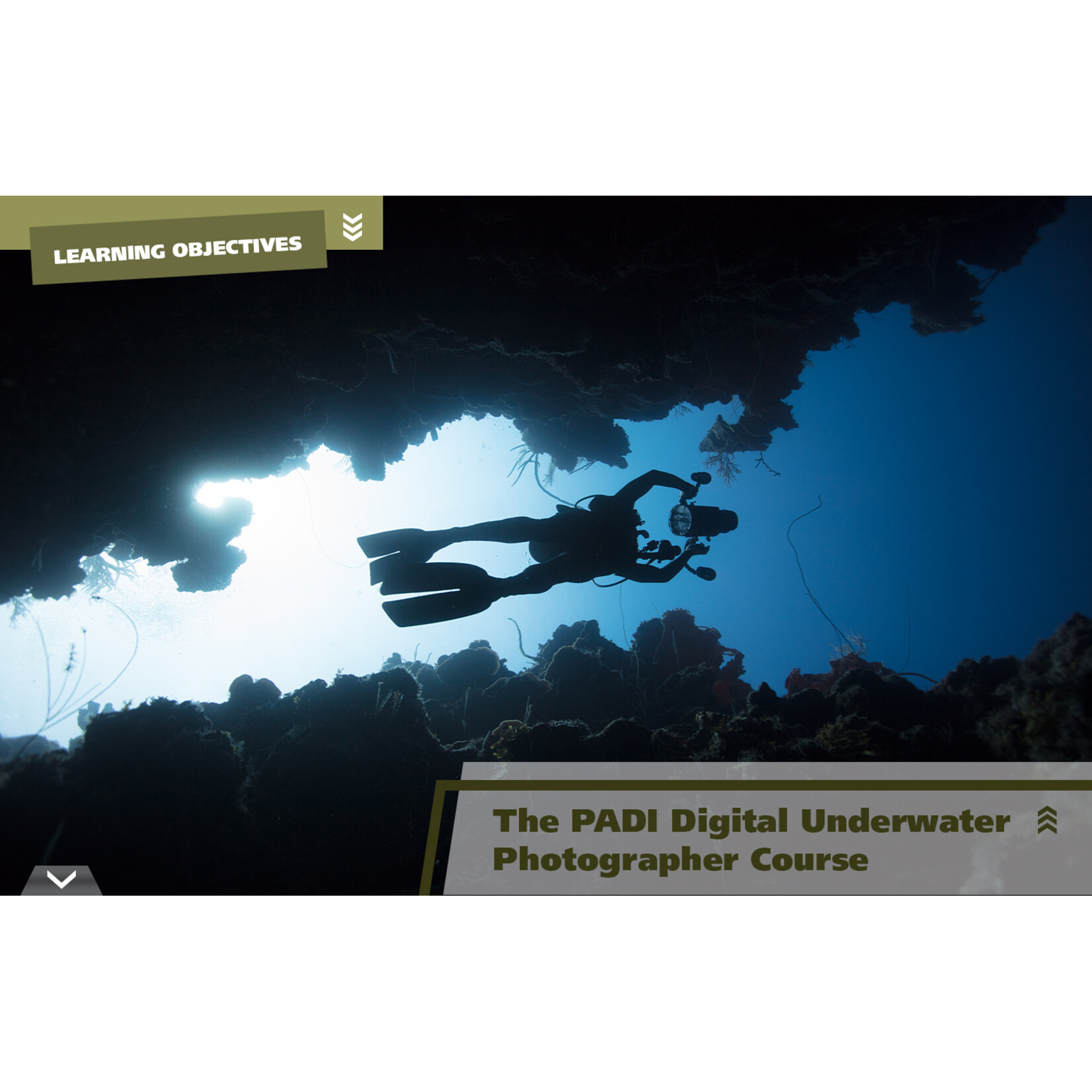 MaiDiving PADI Digital Underwater Photography