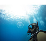 MaiDiving Underwater Naturalist (onderwaterbiologie)