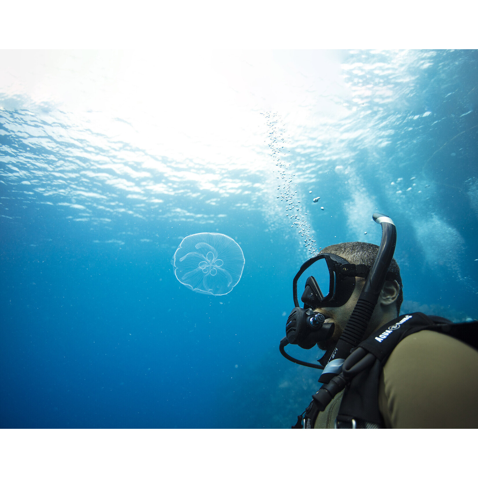 MaiDiving Underwater Naturalist (onderwaterbiologie)