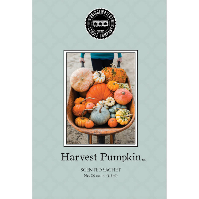 Home Society Scented Sachet Harvest Pumpkin