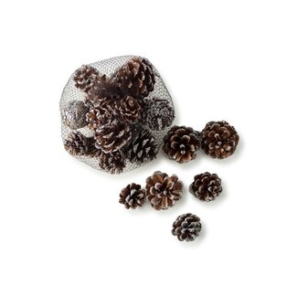 Riviera Maison Majestic Pinecones shiny silver