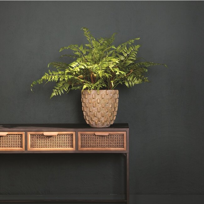 PTMD Fern Plant green fern pick